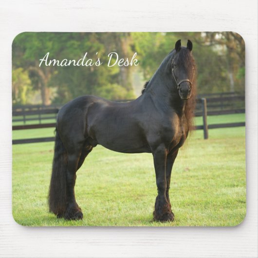 Black Friesian Horse Photo Desk Mousepad (Vorne)