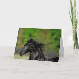 Black Friesian Horse Stallion Headshot Karte