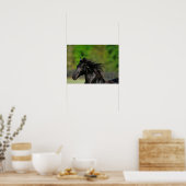 Black Friesian Horse Stallion Headshot Poster (Küche)