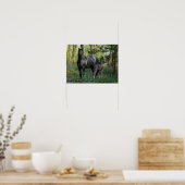 Black Friesian Mare and Foal in Bluebells Poster (Küche)