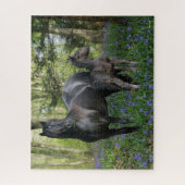 Black Friesian Mare and Foal in Bluebells Puzzle (Vertikal)