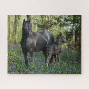 Black Friesian Mare and Foal in Bluebells Puzzle