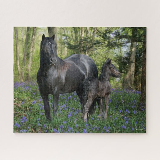 Black Friesian Mare and Foal in Bluebells Puzzle (Horizontal)