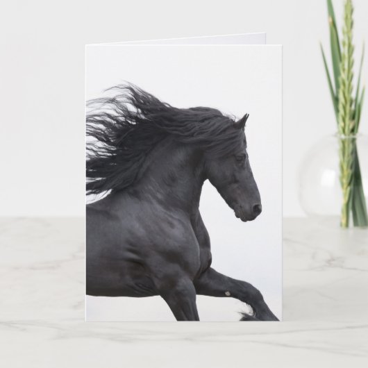 Black Friesian Runs Horns Greeting Card Karte (Vorderseite)