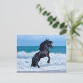 Black Friesian Stallion Rearing In the Sea Postkarte (Stehend Vorderseite)