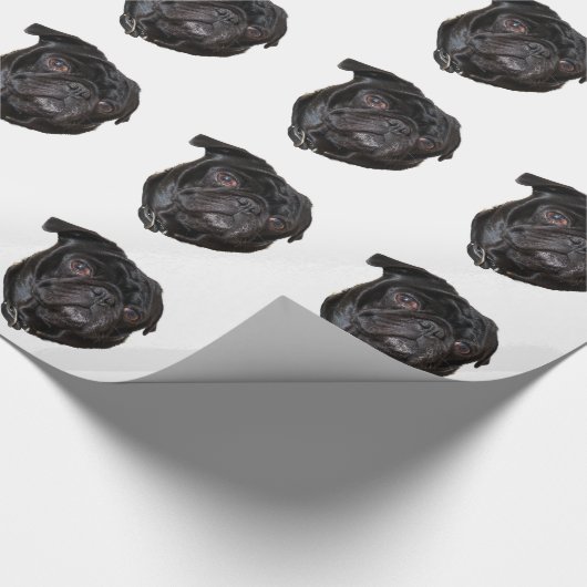 Black Funny Mops Geschenkpapier (Ecke)