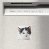 Black Gepunktet Kitten Magnet (In Situ (Geschirrspüler))