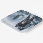 Black German Shepherd in Schnee Duvet Cover Paper Pappteller (Gewinkelt)