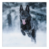 Black German Shepherd in snow Duvet Cover
