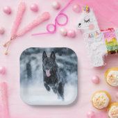 Black German Shepherd in snow Duvet Cover Pappteller (Party)