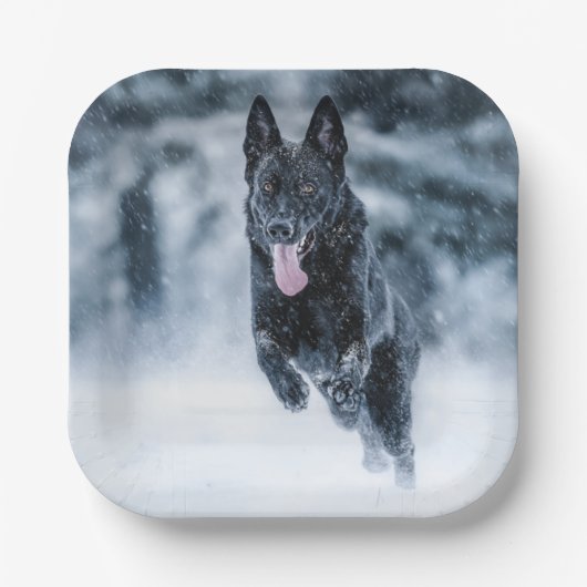Black German Shepherd in snow Duvet Cover Pappteller (Vorderseite)