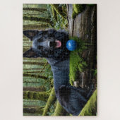 Black German Shepherd with Ball Puzzle (Vertikal)