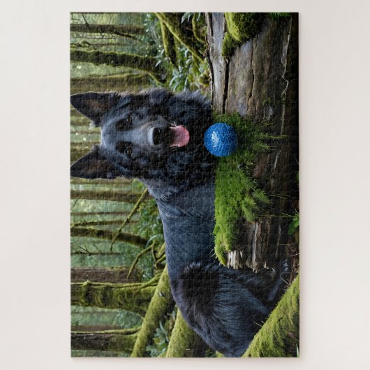 Black German Shepherd with Ball Puzzle (Vertikal)