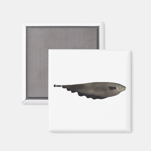 Black Ghost Magnet (Vorderseite/Rückseite)