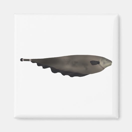 Black Ghost Magnet (Vorne)