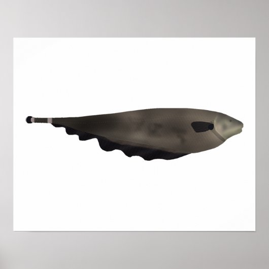 Black Ghost Poster (Vorne)