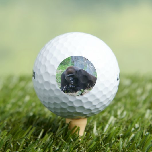 Black Gorilla Golfball (Insitu T-Shirt)