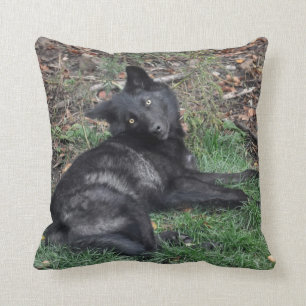 Black Gray Wolf Pup Wildlife Throw Kissen