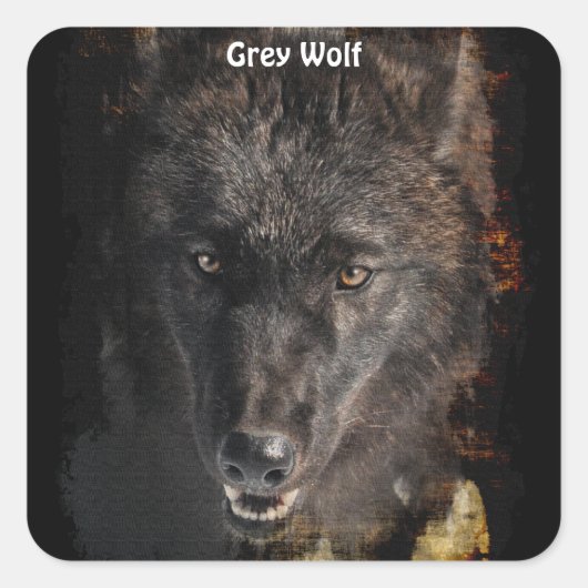 Black GRAY WOLF Wildlife Supporter Stickers (Vorderseite)