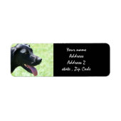 Black Great Dane Address Labels (Vorne)