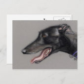 Black Greyhound Original Hund Postkarte (Vorne/Hinten)