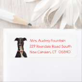 Black Greyhound Puppy Dog Red Rücksendeadresse (Insitu)