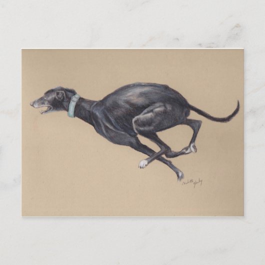 Black Greyhound Running Hund Art Postkarte (Vorderseite)