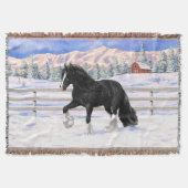 Black Gypsy Vanner Irish Cob Draft Horse in Snow Decke (Vorderseite)