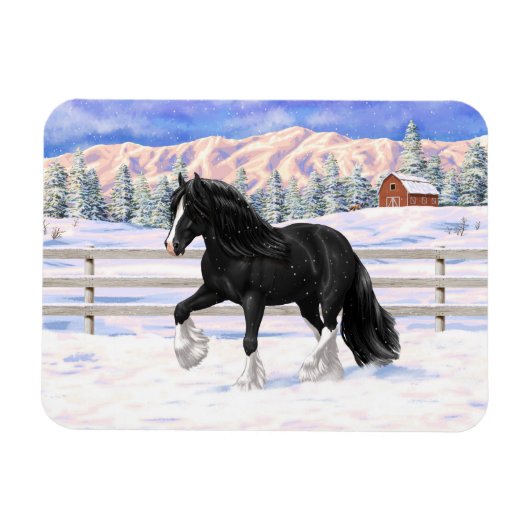 Black Gypsy Vanner Irish Cob Draft Horse in Snow Magnet (Horizontal)