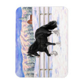 Black Gypsy Vanner Irish Cob Draft Horse in Snow Magnet (Vertikal)