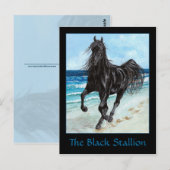 Black Hallion arabisches Pferd Postkarte (Vorne/Hinten)