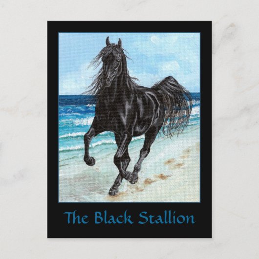 Black Hallion arabisches Pferd Postkarte (Vorderseite)