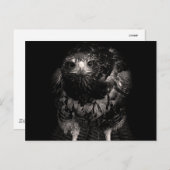 Black Hawk Postkarte (Vorne/Hinten)