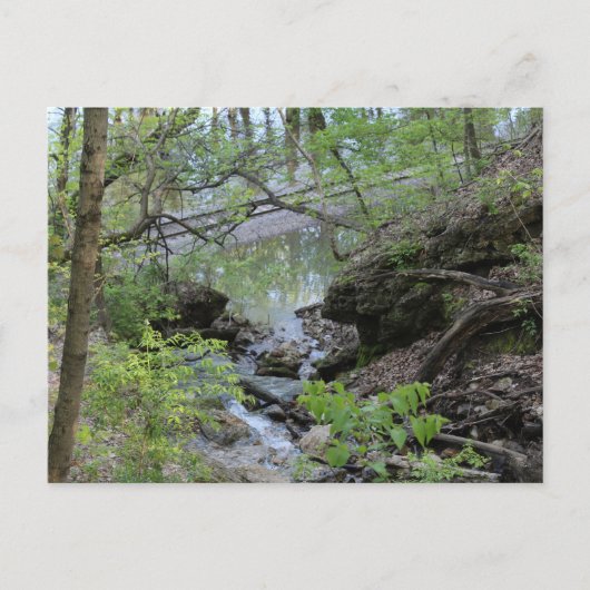 Black Hawk Springs in Burlington, Iowa Postkarte (Vorderseite)