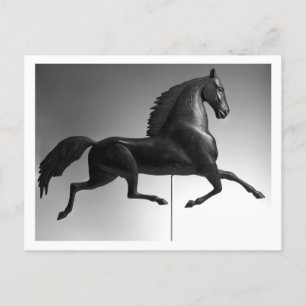 Black Hawk Weathervane Postkarte