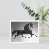 Black Hawk Weathervane Postkarte (Stehend Vorderseite)