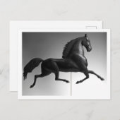 Black Hawk Weathervane Postkarte (Vorne/Hinten)