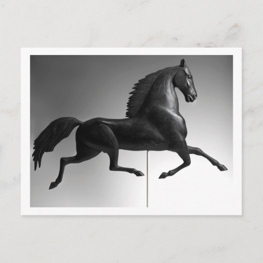 Black Hawk Weathervane Postkarte (Vorderseite)