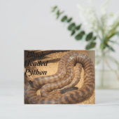 Black Headed Python Postkarte (Stehend Vorderseite)
