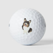 Black Headed Tricolor Corgi Golfball (Vorderseite)