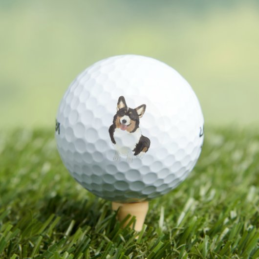 Black Headed Tricolor Corgi Golfball (Insitu T-Shirt)