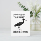 Black Heron Egret Bird Wildlife Postkarte (Stehend Vorderseite)
