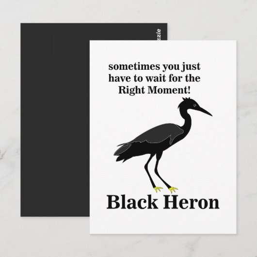 Black Heron Egret Bird Wildlife Postkarte (Vorne/Hinten)