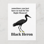 Black Heron Egret Bird Wildlife Postkarte (Vorderseite)
