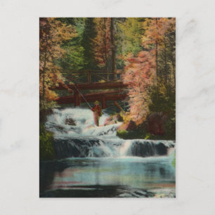 Black Hills Angler Vintage-Postkarte Postkarte