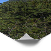 Black Hills Panoramic 53 Poster (Ecke)