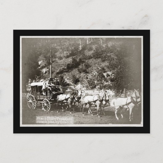 Black Hills Treasure Coach Vintag Postkarte (Vorderseite)