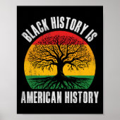 Black History Is American History Bhm African Root Poster (Vorne)