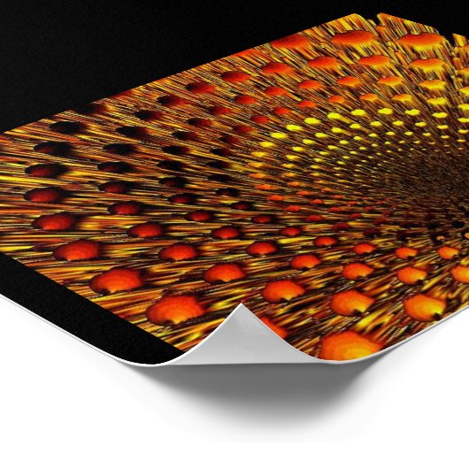 Black Hole Spider Web Poster (Ecke)