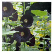 Black Hollyhocks Fliese (Vorderseite)